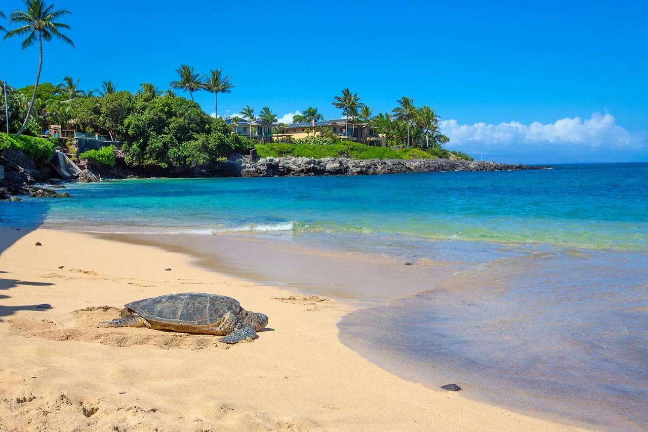 Holiday home Views & Ac! Ks B6- Sullivan Kahana United States